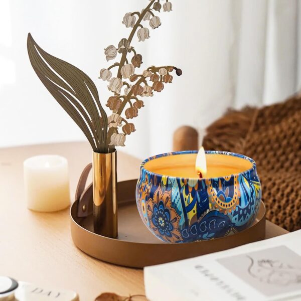 4 Pack Natural Soy Wax Scented Candles Set - 2.5 oz, Long Burning Candles for Home Scented, Stress Relief Aromatherapy Candles Gifts for Mother's Day, Birthday, Christmas