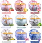 9-Pack Natural Aromatherapy Candles for Home Scented, Long Burning Candles Gifts for Stocking Stuffers, Party Favor, Mothers Day, Birthday, Valentines Day